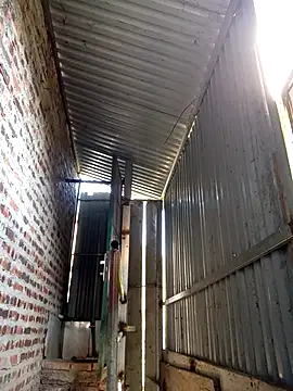 Snapshot of SSexykute3456 chatting on November 2025 06:59:01 AM SSexykute3456 online show from November 2025 06:59:01 AM