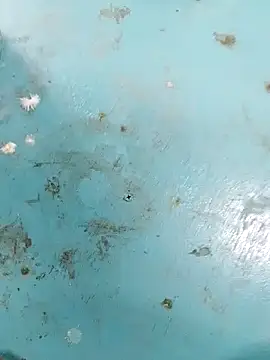 haryanaboypanipat12 online show from April 2026 07:25:02 AM