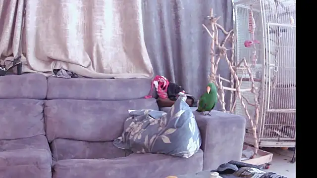 Alexis21821 online show from November 2025 07:18:02 AM