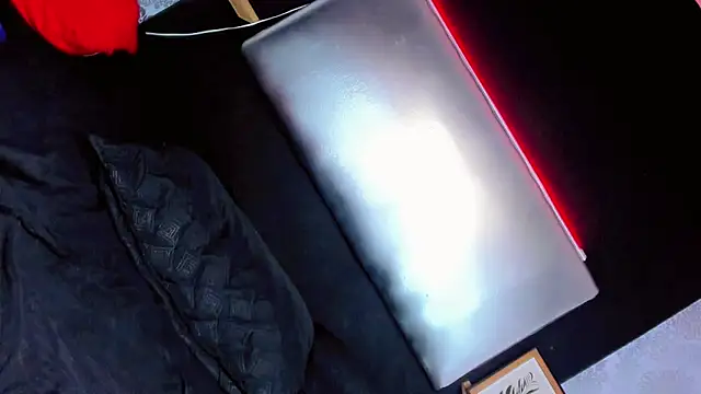 daniela dolls online show from November 2025 11:20:02 AM