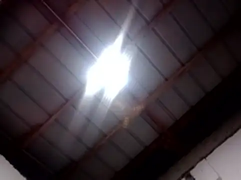 sweet bella16 online show from November 2025 02:42:01 PM