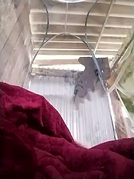 Emmyly 123 online show from January 2026 03:31:02 AM