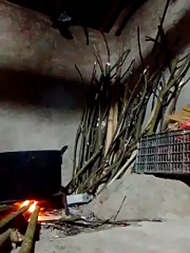 Snapshot of donna-bae chatting on March 2026 11:36:01 AM donna-bae online show from March 2026 11:36:01 AM