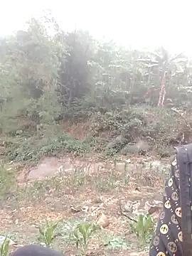 Snapshot of donna-bae chatting on April 2026 10:09:02 AM donna-bae online show from April 2026 10:09:02 AM