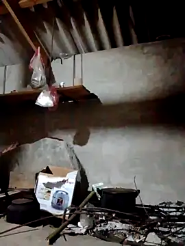 Snapshot of donna-bae chatting on April 2026 10:15:02 PM donna-bae online show from April 2026 10:15:02 PM