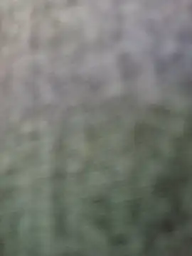 Snapshot of JeffersonRay chatting on January 2026 01:52:02 AM JeffersonRay online show from January 2026 01:52:02 AM