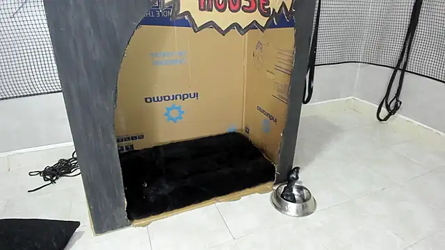 BDSM MEDUZA online show from February 2026 03:24:02 AM