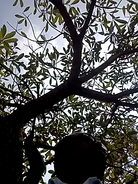 ipvk online show from March 2026 07:15:01 AM