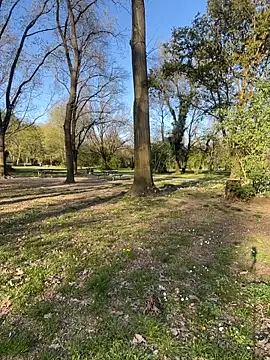 fioralba online show from March 2026 04:07:01 PM