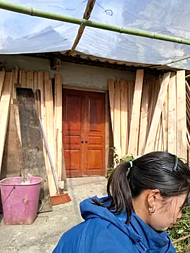 diamond-- online show from November 2025 07:18:01 AM