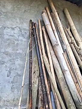 diamond-- online show from April 2026 12:57:02 AM