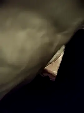 telugumodda4396 online show from November 2025 10:01:02 AM