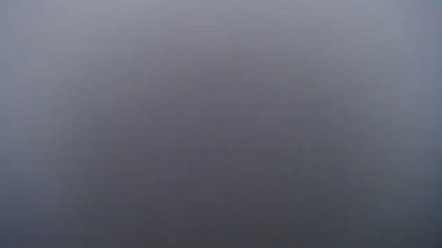 Juiceybileh online show from February 2026 02:48:02 PM