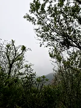 xuxulovezz online show from April 2026 01:50:01 AM