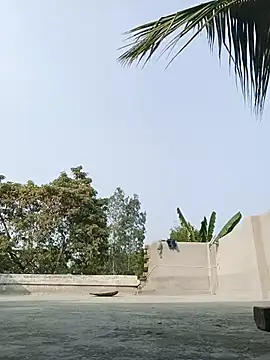 reya743 online show from February 2026 09:47:01 AM