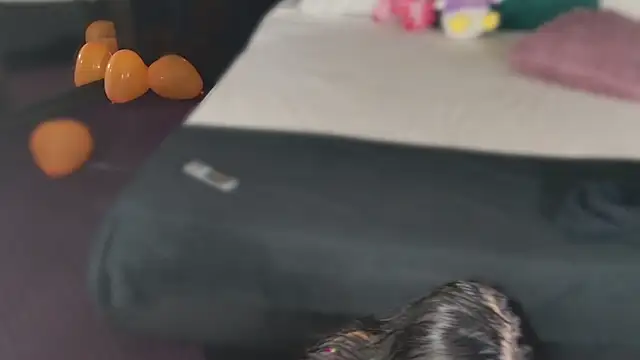 MeganSin  online show from November 2025 05:30:02 AM