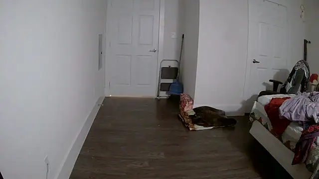 Buggy1965 online show from April 2026 02:00:02 PM