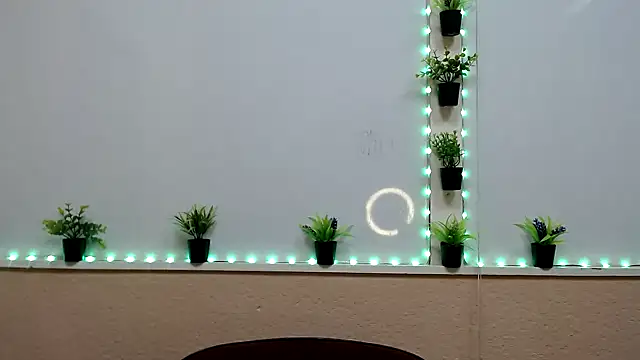 Hoot Dude  online show from November 2025 02:28:01 PM