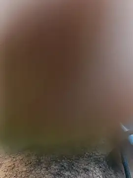 Mohamed234897 online show from November 2025 02:28:01 PM