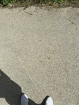 Italianofirenze online show from April 2026 09:49:01 AM