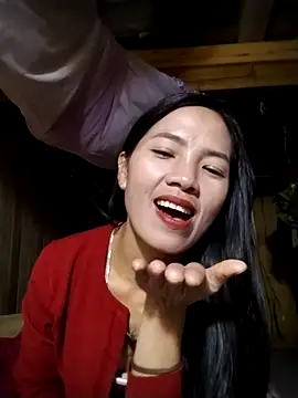 lmc-zz online show from November 2025 12:05:02 PM