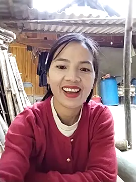 lmc-zz online show from November 2025 02:48:02 AM