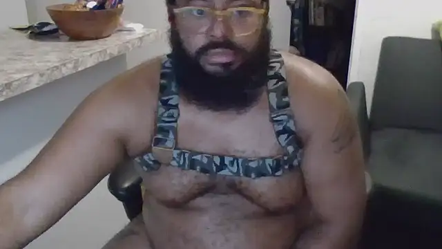 bear named j online show from October 2025 01:53:02 PM