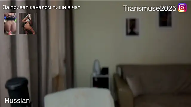 Snapshot of NikandJane chatting on November 2025 04:31:02 PM NikandJane online show from November 2025 04:31:02 PM