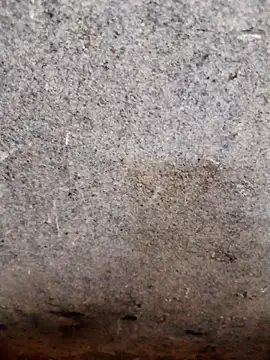 nagepalli online show from November 2025 03:49:02 AM