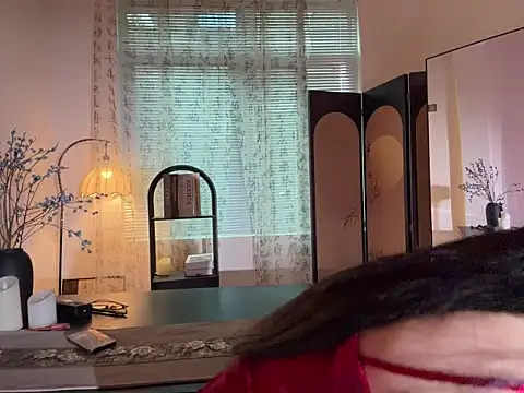 Snapshot of xiaowan_x chatting on November 2025 07:52:02 AM xiaowan x online show from November 2025 07:52:02 AM