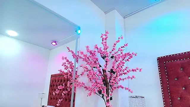 Gabriela milani online show from February 2026 11:49:01 AM