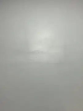 LAngel21 online show from December 2025 04:18:02 AM