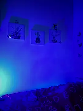 Solaangel  online show from December 2025 11:44:01 PM