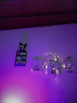 Solaangel  online show from February 2026 11:48:01 AM