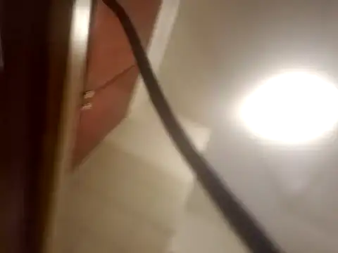 Curious9884 online show from February 2026 07:18:01 AM