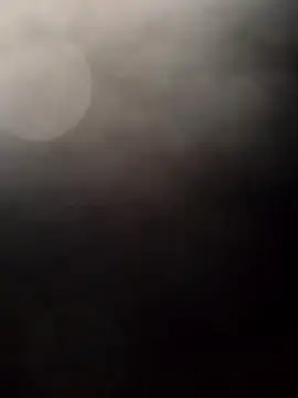 Payarkanasa online show from November 2025 09:45:01 AM