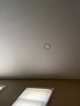 murphdolla online show from November 2025 02:42:02 PM