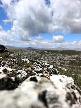 Sert erkek21 ysm online show from March 2026 09:21:02 AM