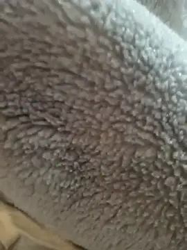 Saif b11b online show from March 2026 10:15:01 PM