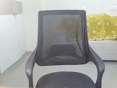 Meadow rain1 online show from October 2025 04:48:01 PM