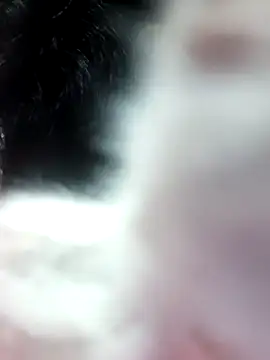 anjali2351 online show from February 2026 02:21:02 PM