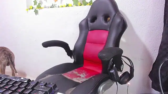 Snapshot of soffycarter1 chatting on November 2025 11:16:01 PM soffycarter1 online show from November 2025 11:16:01 PM