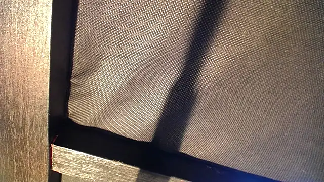 celeste solis online show from November 2025 08:19:02 PM