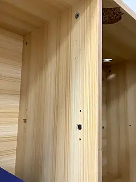 Winona88 online show from November 2025 08:59:01 AM