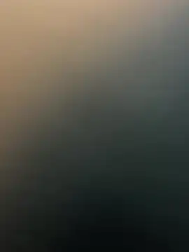 Siya-20 online show from January 2026 08:41:01 AM