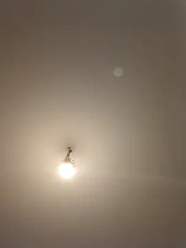 labellerose online show from April 2026 05:07:01 PM