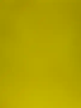 leeya14 online show from October 2025 12:04:02 PM