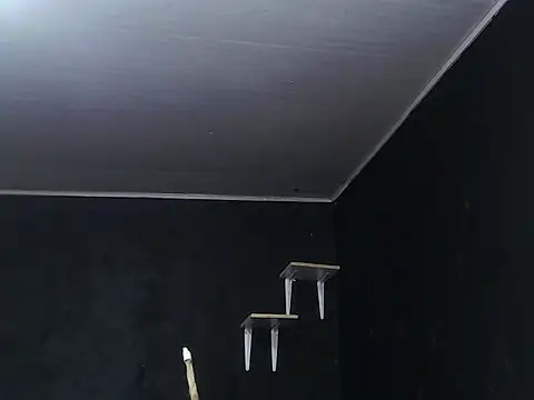 Snapshot of Liastark chatting on November 2025 10:41:02 AM Liastark online show from November 2025 10:41:02 AM