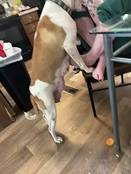 Mustbethemoney1234 online show from April 2026 09:05:02 PM