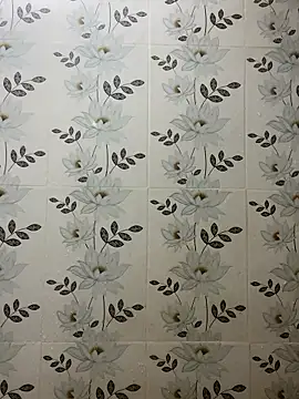 Nipa59 online show from November 2025 07:52:01 AM